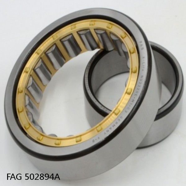 502894A FAG Cylindrical Roller Bearings