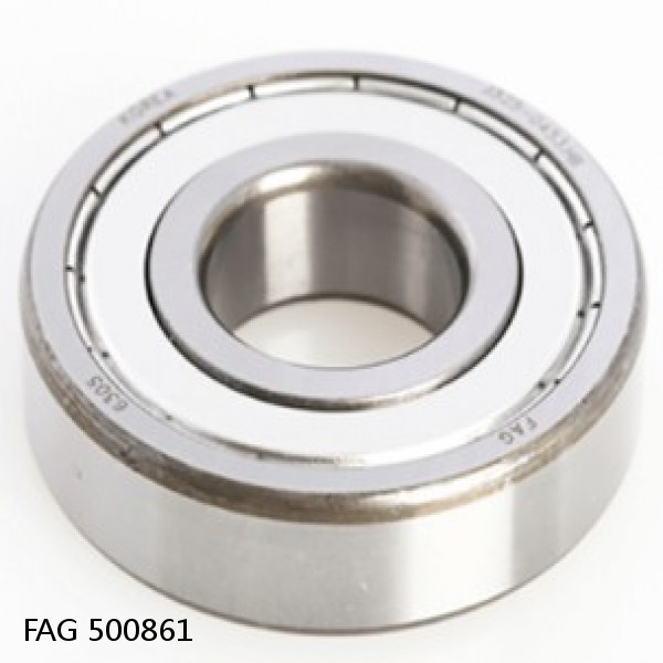 500861 FAG Cylindrical Roller Bearings