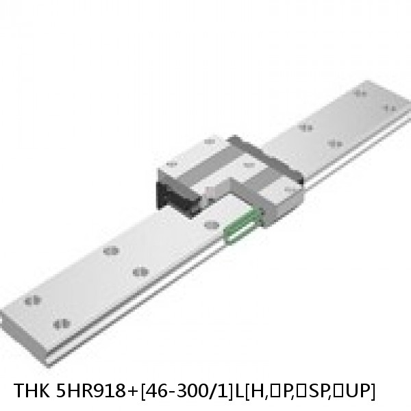 5HR918+[46-300/1]L[H,​P,​SP,​UP] THK Separated Linear Guide Side Rails Set Model HR