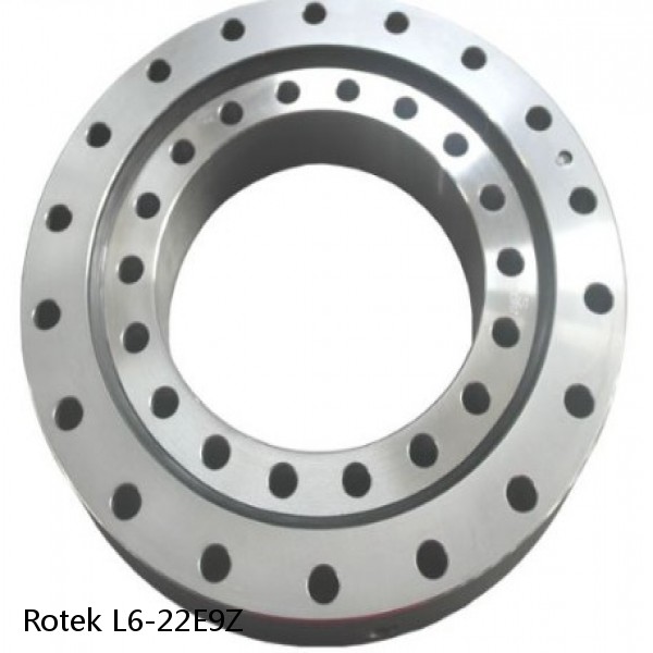 L6-22E9Z Rotek Slewing Ring Bearings