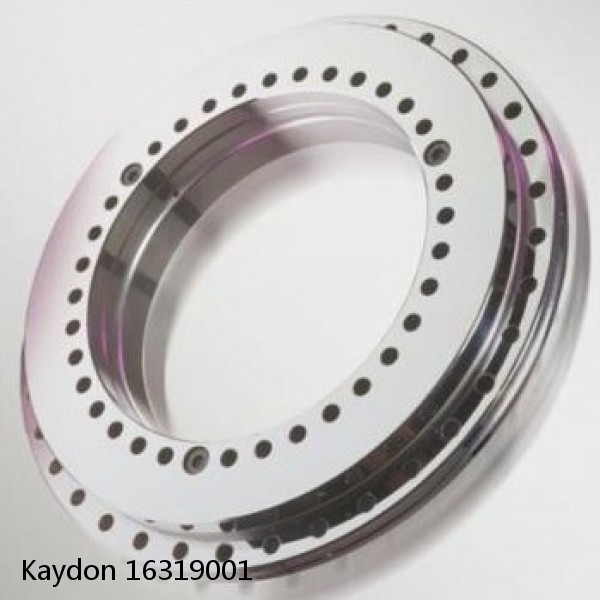 16319001 Kaydon Slewing Ring Bearings