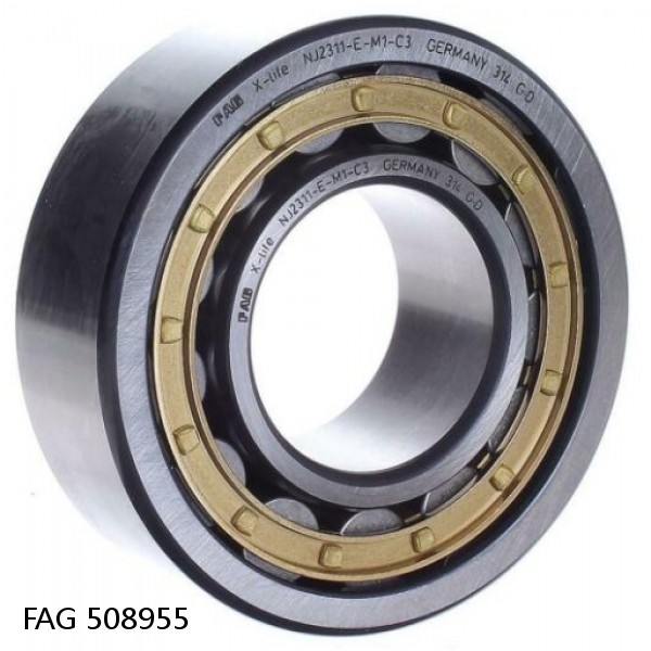 508955 FAG Cylindrical Roller Bearings