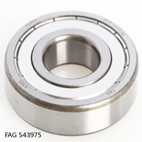 543975 FAG Cylindrical Roller Bearings