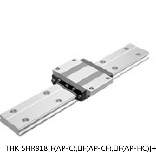 5HR918[F(AP-C),​F(AP-CF),​F(AP-HC)]+[46-300/1]L[F(AP-C),​F(AP-CF),​F(AP-HC)] THK Separated Linear Guide Side Rails Set Model HR