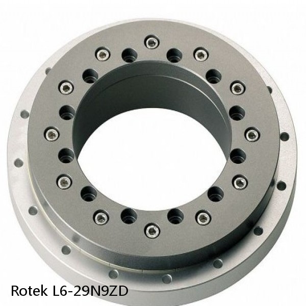 L6-29N9ZD Rotek Slewing Ring Bearings