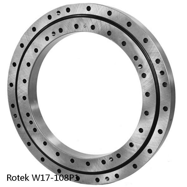 W17-108P1 Rotek Slewing Ring Bearings