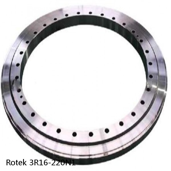 3R16-220N1 Rotek Slewing Ring Bearings