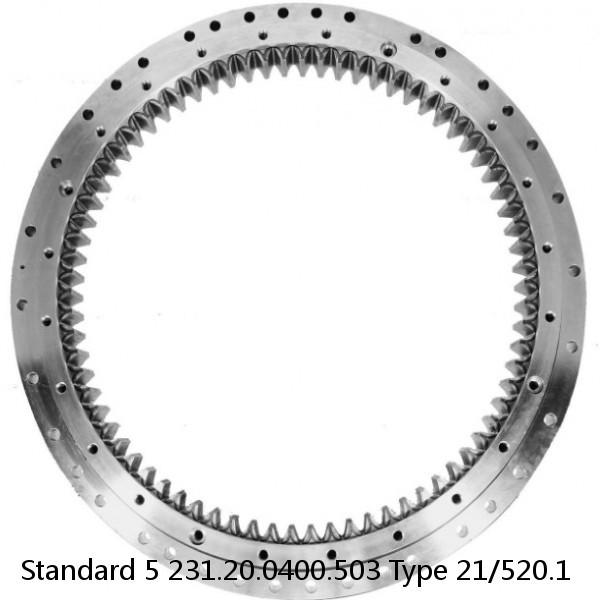 231.20.0400.503 Type 21/520.1 Standard 5 Slewing Ring Bearings