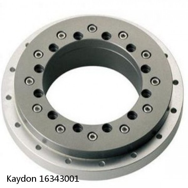 16343001 Kaydon Slewing Ring Bearings