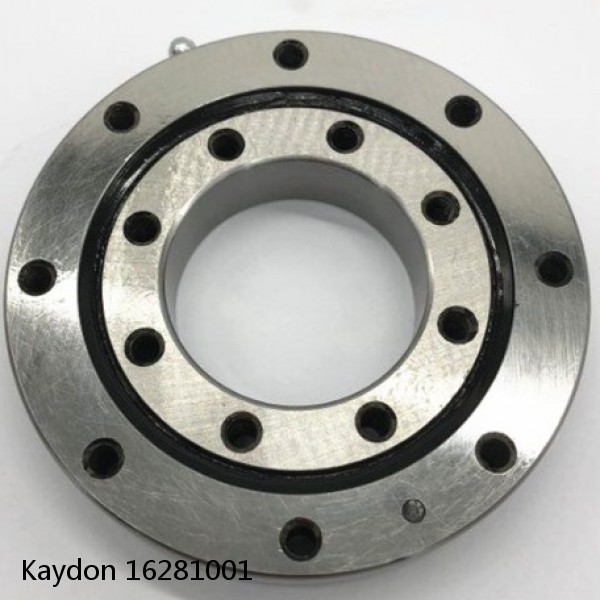 16281001 Kaydon Slewing Ring Bearings