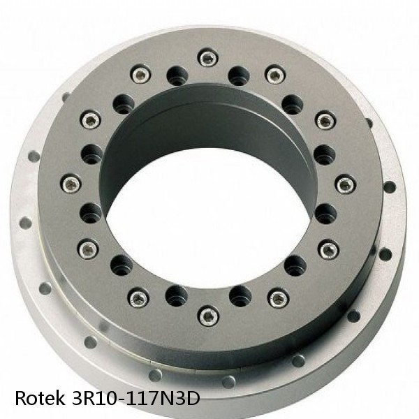 3R10-117N3D Rotek Slewing Ring Bearings