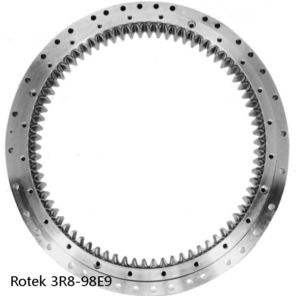 3R8-98E9 Rotek Slewing Ring Bearings