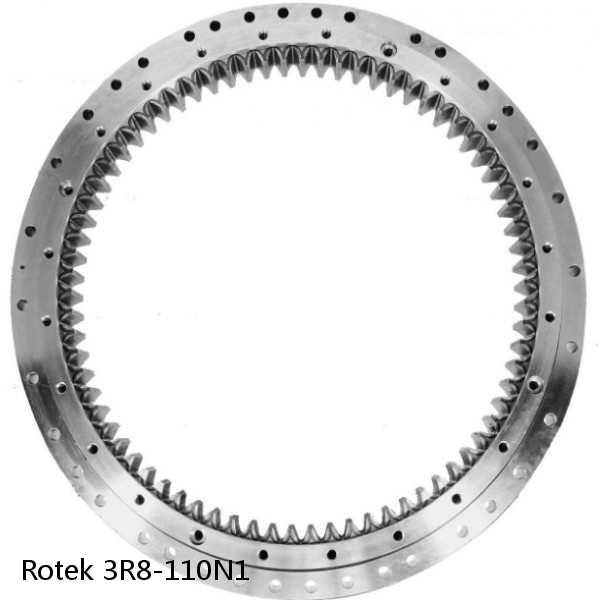 3R8-110N1 Rotek Slewing Ring Bearings