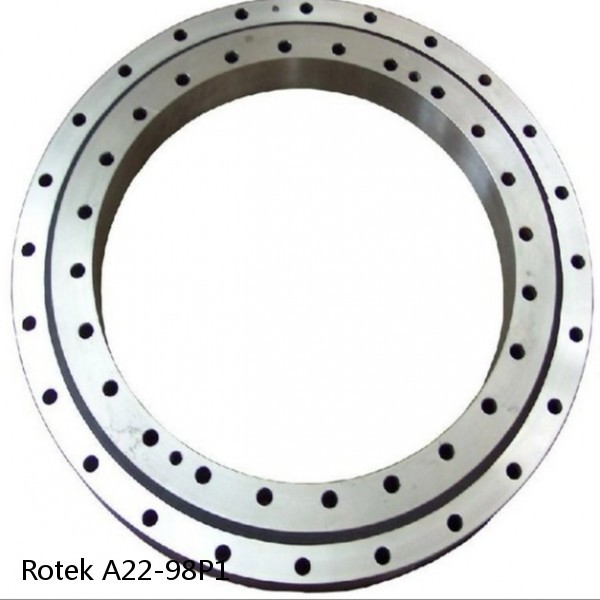 A22-98P1 Rotek Slewing Ring Bearings