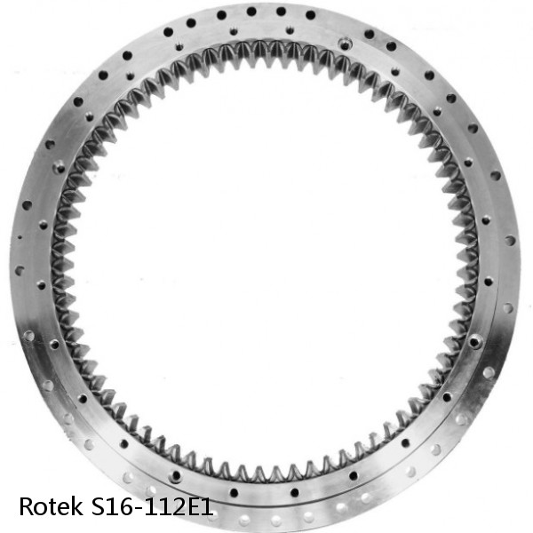 S16-112E1 Rotek Slewing Ring Bearings