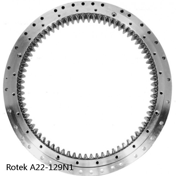 A22-129N1 Rotek Slewing Ring Bearings