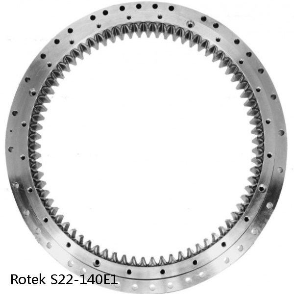 S22-140E1 Rotek Slewing Ring Bearings