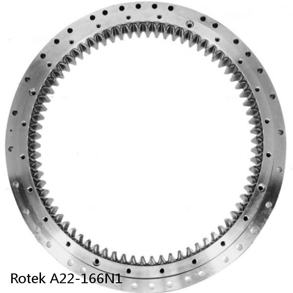 A22-166N1 Rotek Slewing Ring Bearings