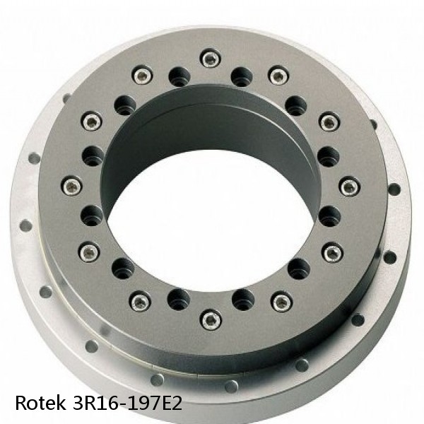 3R16-197E2 Rotek Slewing Ring Bearings