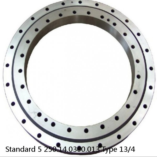 250.14.0300.013 Type 13/4 Standard 5 Slewing Ring Bearings