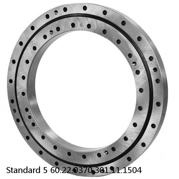 60.22.0370.301.11.1504 Standard 5 Slewing Ring Bearings