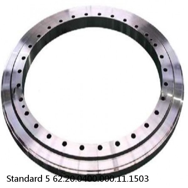 62.20.0400.000.11.1503 Standard 5 Slewing Ring Bearings