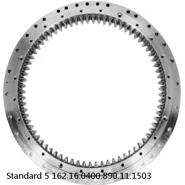 162.16.0400.890.11.1503 Standard 5 Slewing Ring Bearings