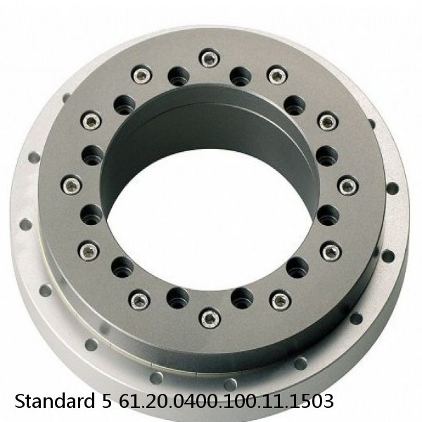 61.20.0400.100.11.1503 Standard 5 Slewing Ring Bearings